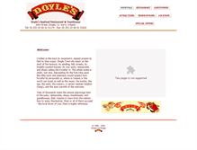 Tablet Screenshot of doylesofdingle.com